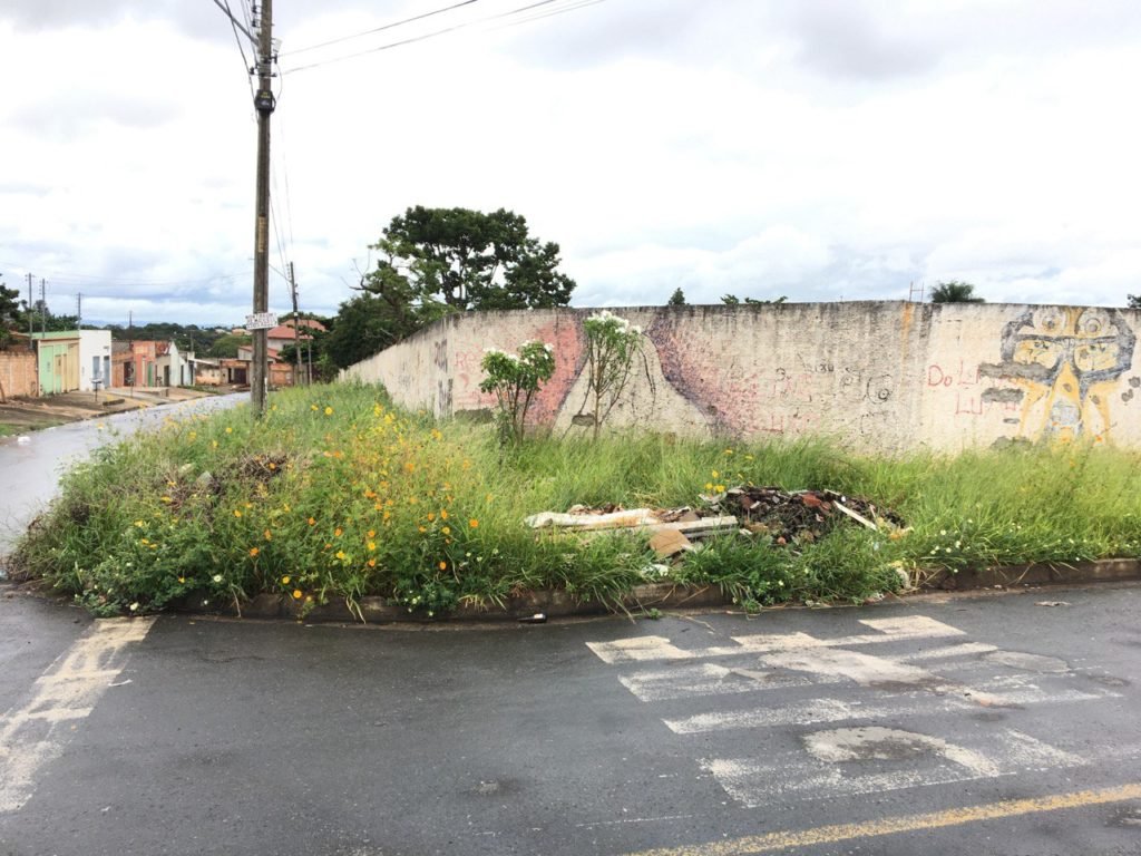 Projeto beneficente quer arrecadar recursos para construir pista de caminhada ao redor do Colégio Estadual Pedro Neca em Aparecida