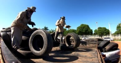 Mutirão contra a dengue recolhe 12 mil pneus em Aparecida