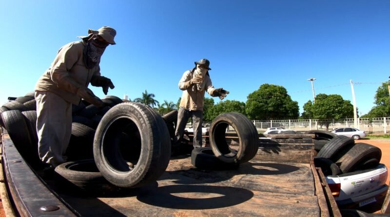 Mutirão contra a dengue recolhe 12 mil pneus em Aparecida