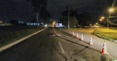 Pedestre morre atropelada e autoria evade do local
