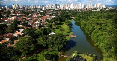 ONU: Goiânia agora é “Cidade Árvore do Mundo”