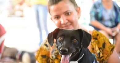 Castração social beneficia mais de 600 cães em Aparecida