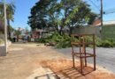 Prefeitura inicia substituição de árvores no Setor Sul com plantio compensatório neste sábado (11/4)