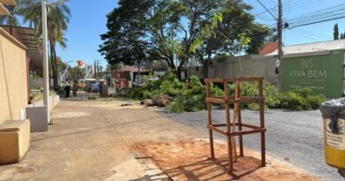 Prefeitura inicia substituição de árvores no Setor Sul com plantio compensatório neste sábado (11/4)