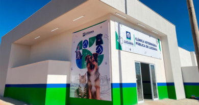 Clínica veterinária pública de Luziânia oferece telemedicina especializada