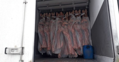 MPF obtém condenação de motorista por transporte de 529 kg de cocaína escondidos em carga de carne em Goiás