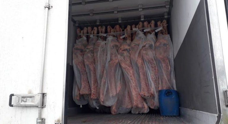 MPF obtém condenação de motorista por transporte de 529 kg de cocaína escondidos em carga de carne em Goiás