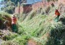 Prefeitura de Goiânia limpa 5,7 milhões de m² em volta de mananciais