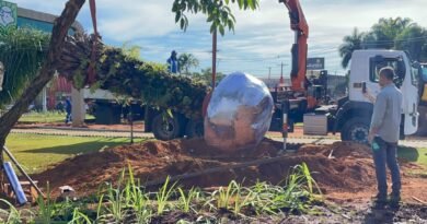 Comurg inicia transplante de árvores da Praça Ciro Lisita